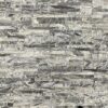 Black Vein 2F Slim Format 1