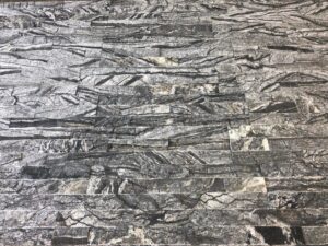Format Black V IMG_3455